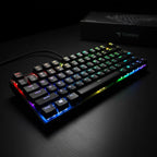 digitaley.co black compact 60% mechanical keyboard with vibrant customizable RGB backlighting.